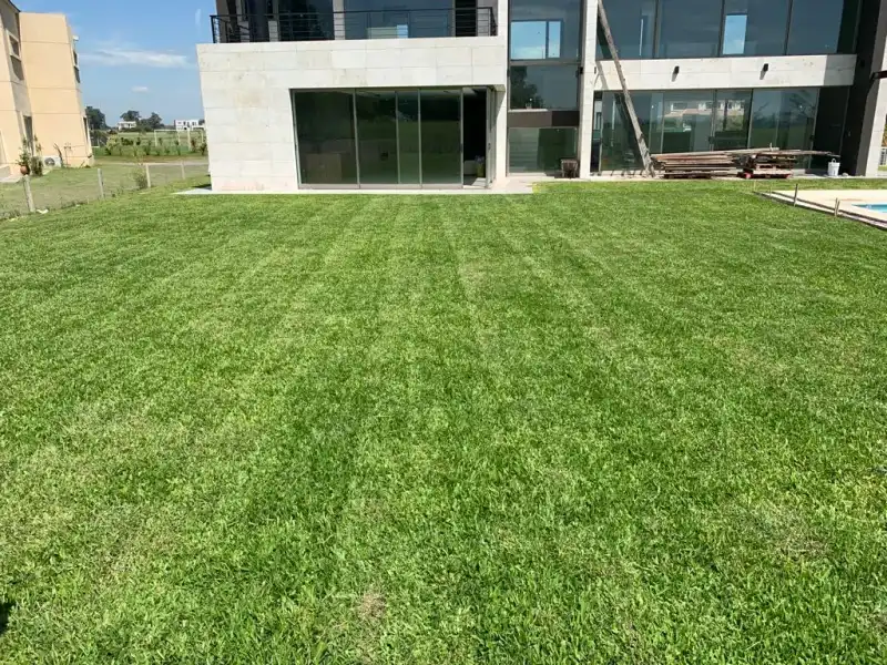 Trabajo 3