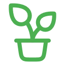 Plantas de Calidad